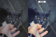 Random Photoshop Actions preview 6