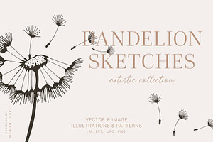 Artistic Dandelion Sketches
