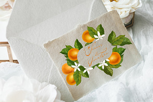 Sweet Oranges, Citrus Watercolor Set