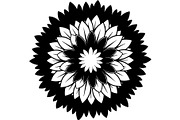 Round Floral Mandala Bundle, a Decorative Illustration by Designer_Momina (Thumbnail 13 of 19)