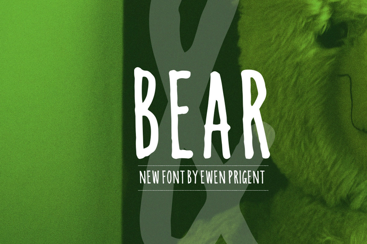 Bear, a Handwritten Font by La Boite Graphique (Photo 2 of 5)