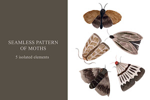 Seamless Pattern Of Moths