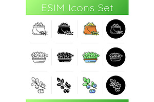 Vegetarian Meals Icons Set