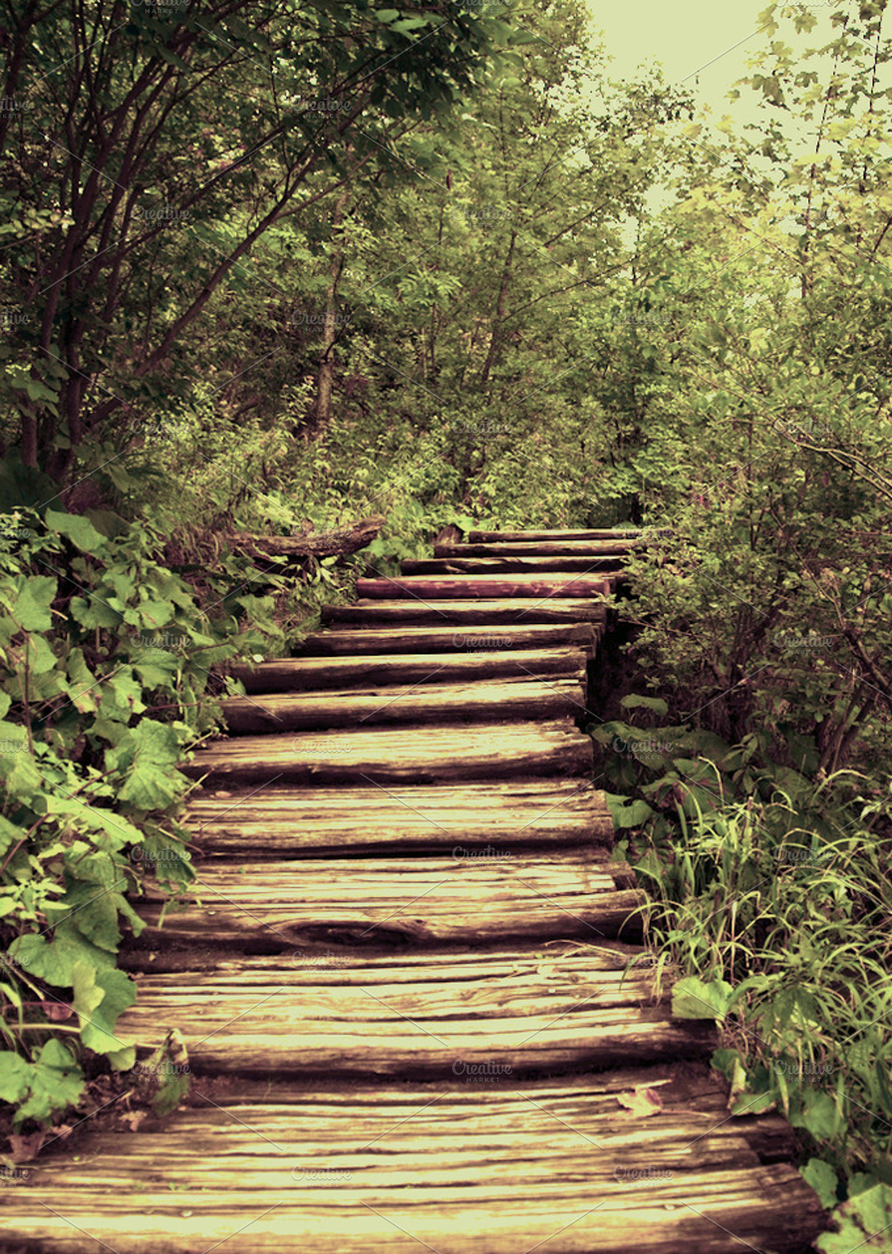 Old Wooden Stairs