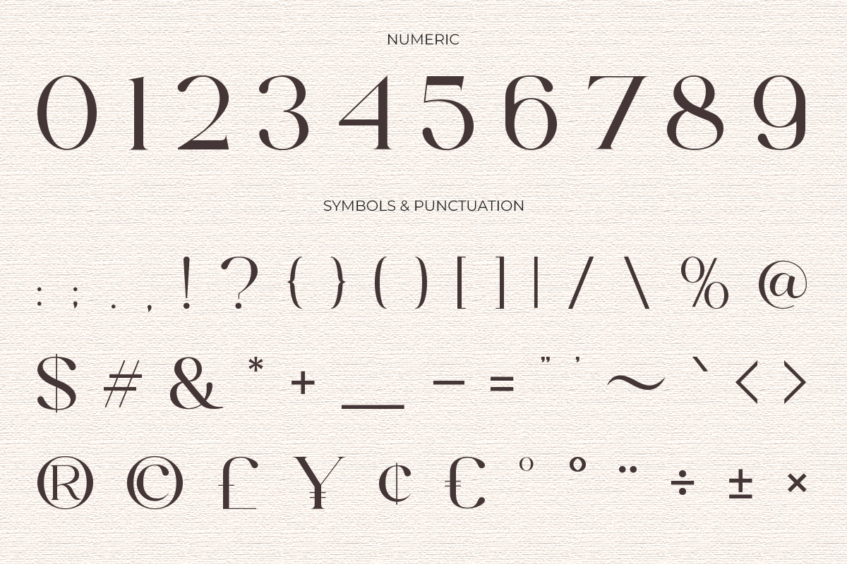 Elegant Serif - Roman Escort, a Serif Font by Font Liner (Photo 13 of 14)