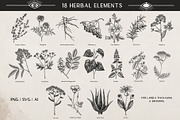 Vintage Apothecary Branding Bundle, a Healthcare Illustration by Yevheniia (Thumbnail 4 of 11)