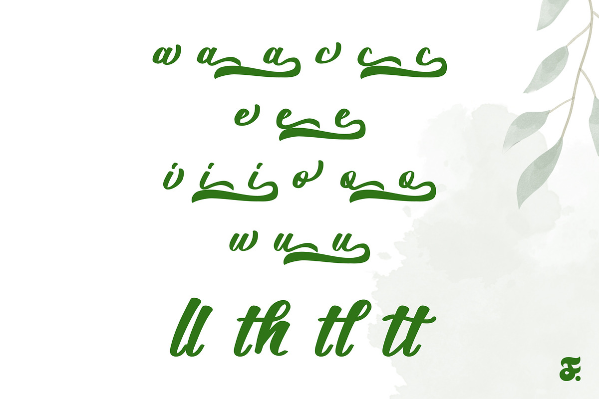 Daintti Swirl Script, a Script Font by Anomali Creatype (Photo 2 of 10)