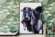 Exotic Bull Breeds | CATTLE Vol. 2, an Object Graphic by FineArt (Thumbnail 2 of 7)