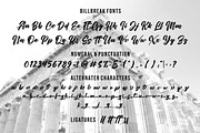Ergibreak - Bold Script Font, a Script Font by UInstrument (Thumbnail 4 of 9)