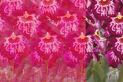 Handmade Colour Explosions, a Texture Graphic by MatildeGraphics (Thumbnail 5 of 5)