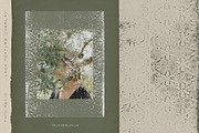 Thin Relic - Lace Texture Overlays, a Texture Graphic by alonahaidash (Thumbnail 17 of 19)