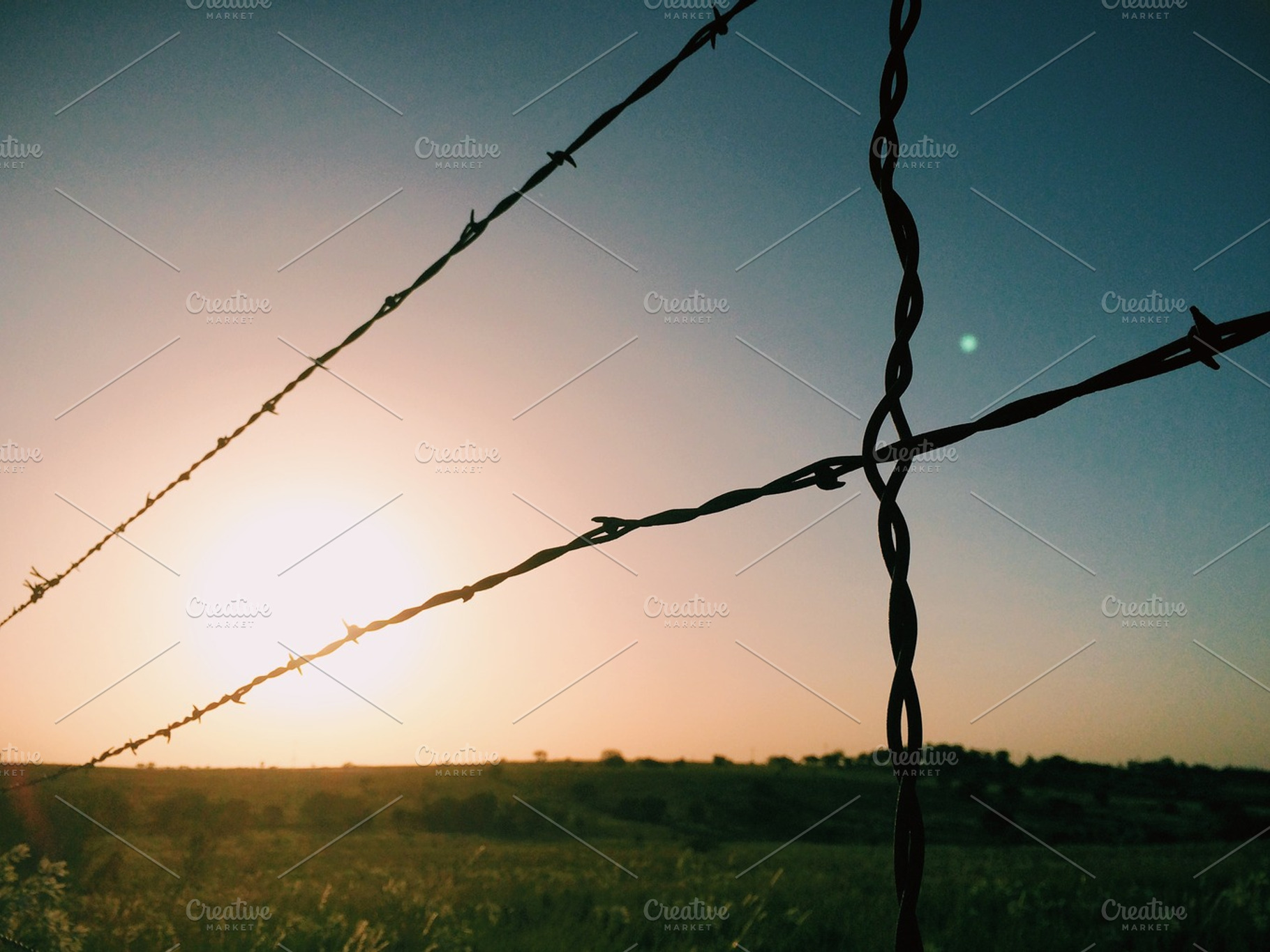 Barbed Wire In Front Of A Sunset