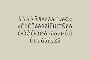 Reanointe Serif Display