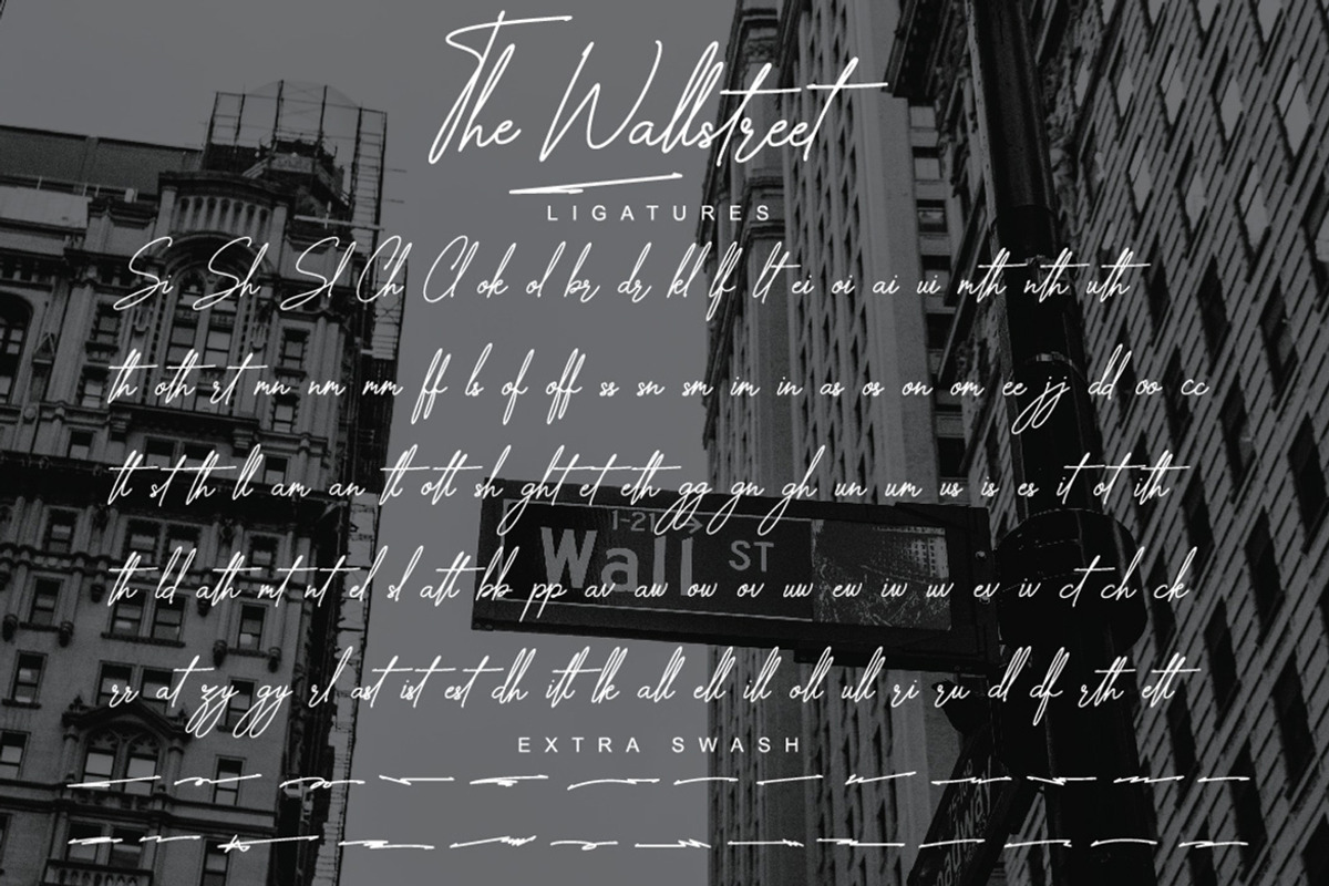 The Wallstreet - Signature Font, a Script Font by Almeera Std (Photo 5 of 10)