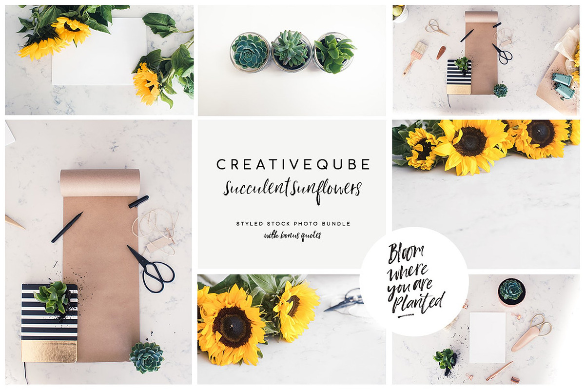 Whole Shop Bundle UPDATED, a Texture Illustration by Creativeqube Design (Photo 160 of 253)