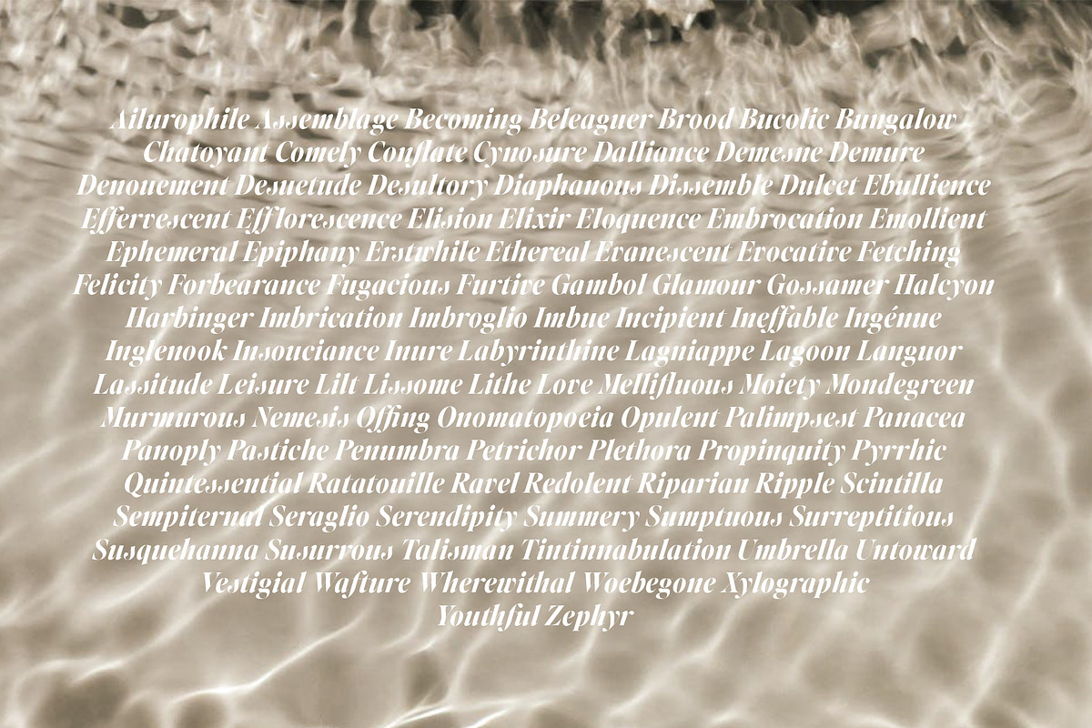 Editor's Note Display, a Serif Font by Jen Wagner Co (Photo 8 of 22)