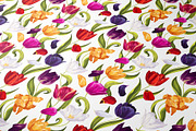 Colorful Tulips Seamless Pattern, a Pattern Graphic by MarynaPetrovska (Thumbnail 3 of 16)