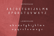 Velonyka, a Script Font by Letterature Std. (Thumbnail 4 of 8)