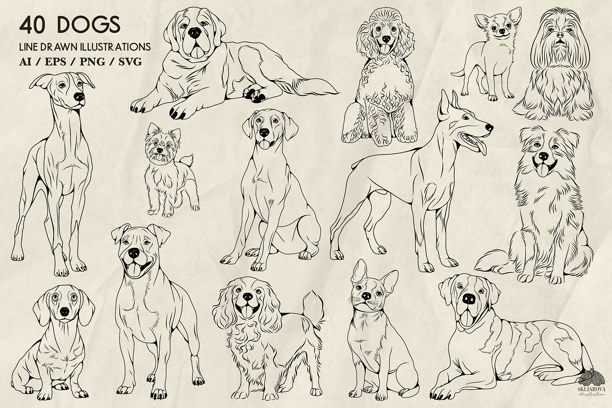 Dogs Line Art + Procreate Stamps, an Animal Illustration by Skliarova (Photo 4 of 4)