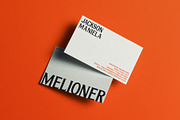 Epilonion - Serif Display Font, a Serif Font by Brainwaves.Studio (Thumbnail 10 of 11)