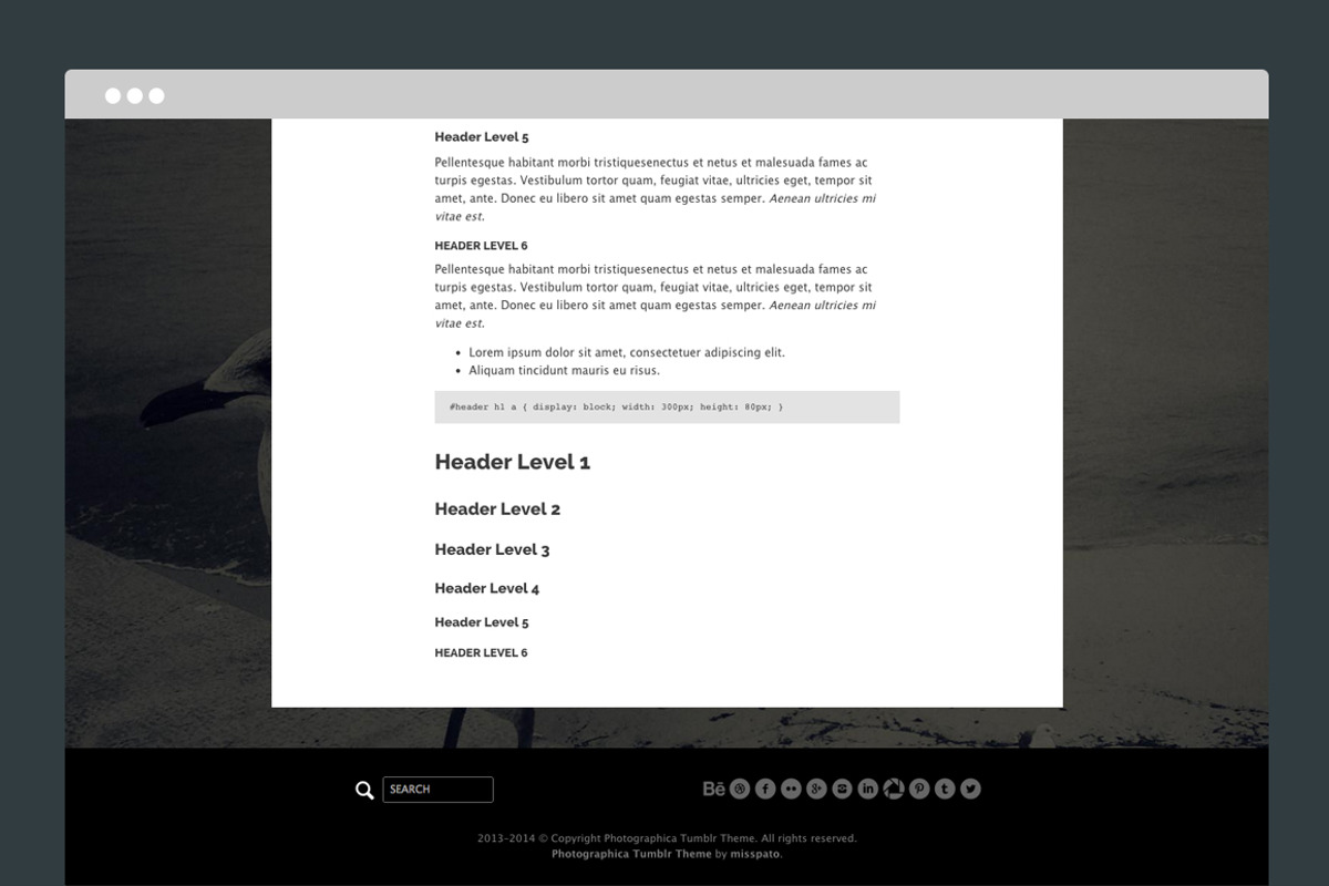 Photographica Tumblr Theme, a Websites & App Template by Themelantic (Photo 4 of 5)