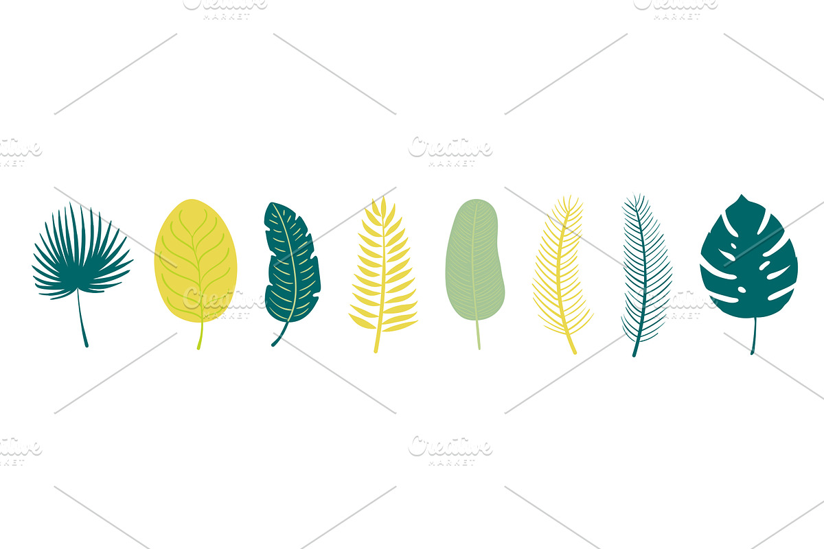 Palm tree, tropical leaves, an Object Illustration by sceptical cactus