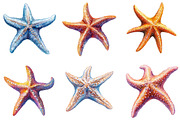 Starfish Watercolor Clipart, an Illustration by SinaCreation (Thumbnail 2 of 5)