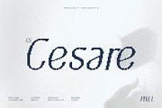 CS Cesare Pixel, a Sans Serif Font by Craft Supply Co. (Thumbnail 1 of 8)
