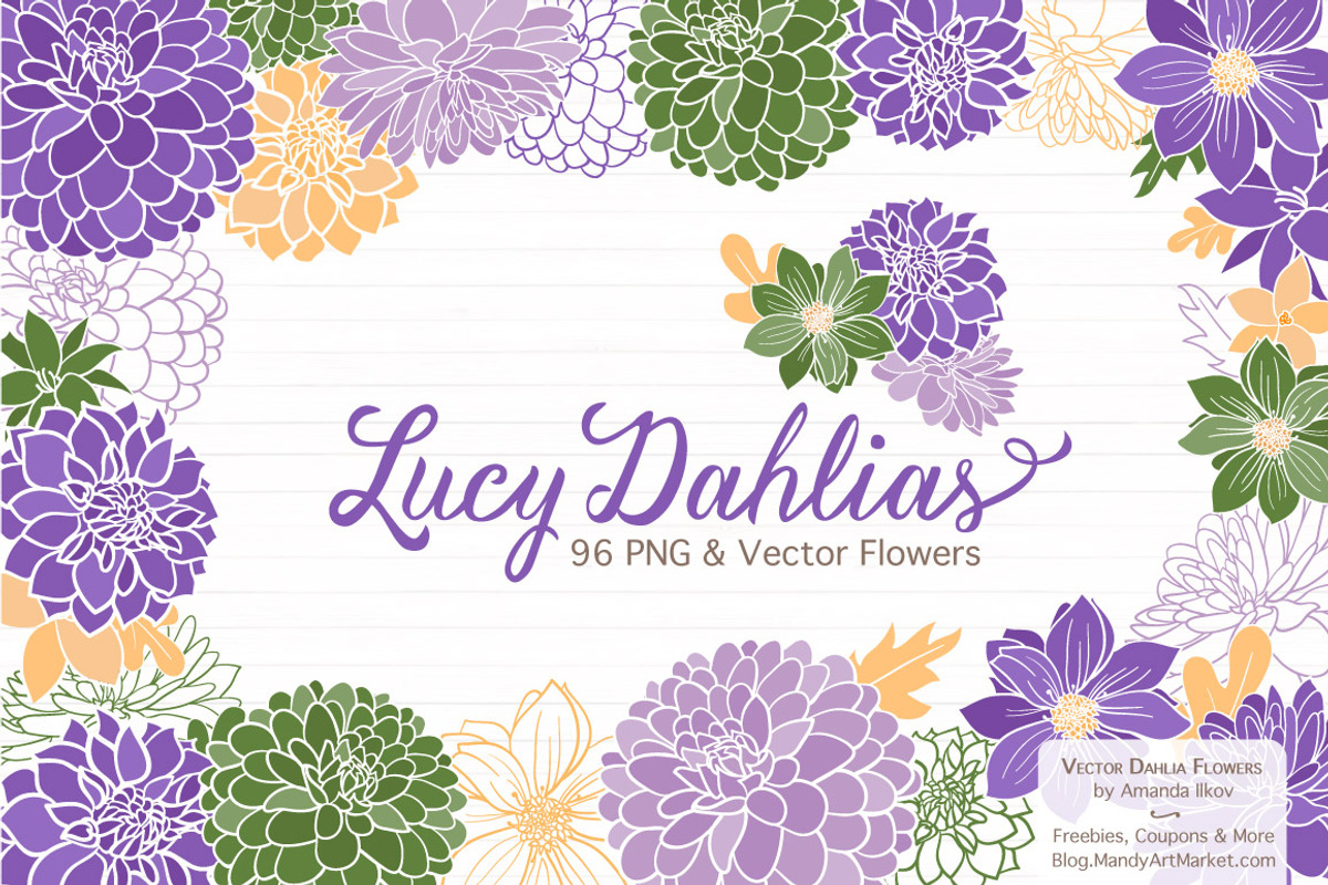 Purple Dahlia Clipart & Vectors, an Illustration by Amanda Ilkov (Photo 1 of 4)