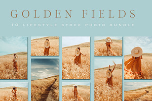 Golden Fields Lifestyle Stock Photo