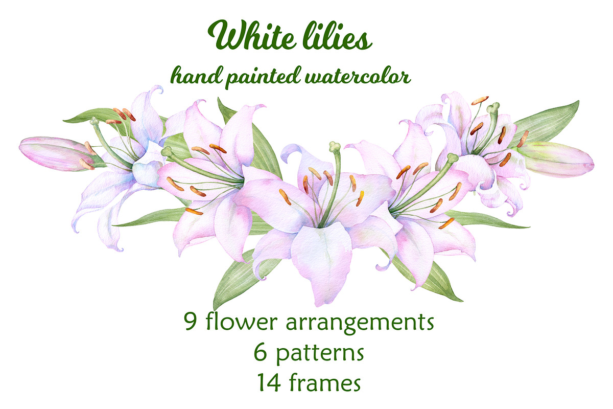 Watercolor clipart white lilies, an Illustration by EshaStudio (Photo 1 of 11)
