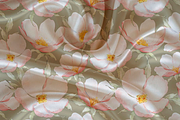 Château Rose Watercolor Patterns, a Pattern Graphic by Deveze Art & Co (Thumbnail 6 of 10)