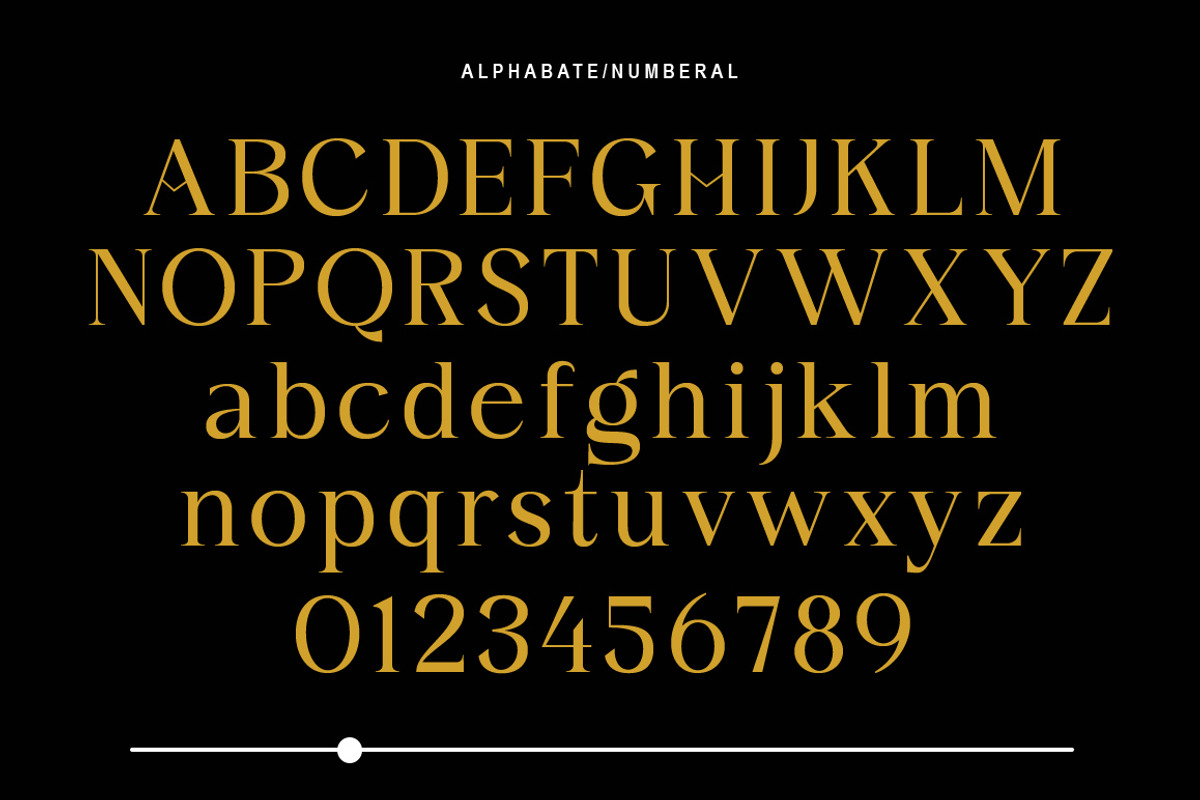 Monlight, a Serif Font by Gatype (Photo 5 of 10)