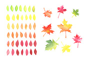 Autumn leaves. Watercolor., an Illustration by Olga Bonitas (Thumbnail 5 of 5)