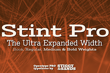 Stint Ultra Expanded Pro Family