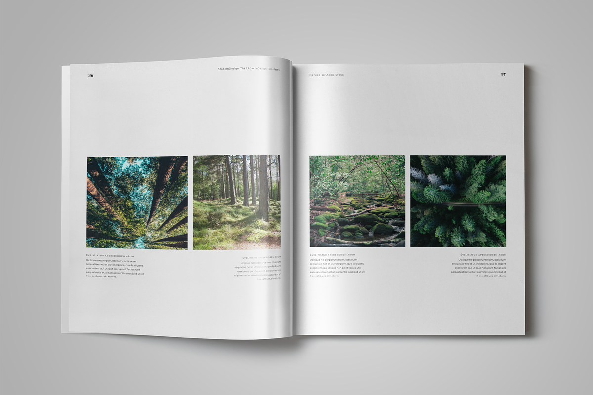 Book Template, a Templates & Theme by StockInDesign (Photo 11 of 11)
