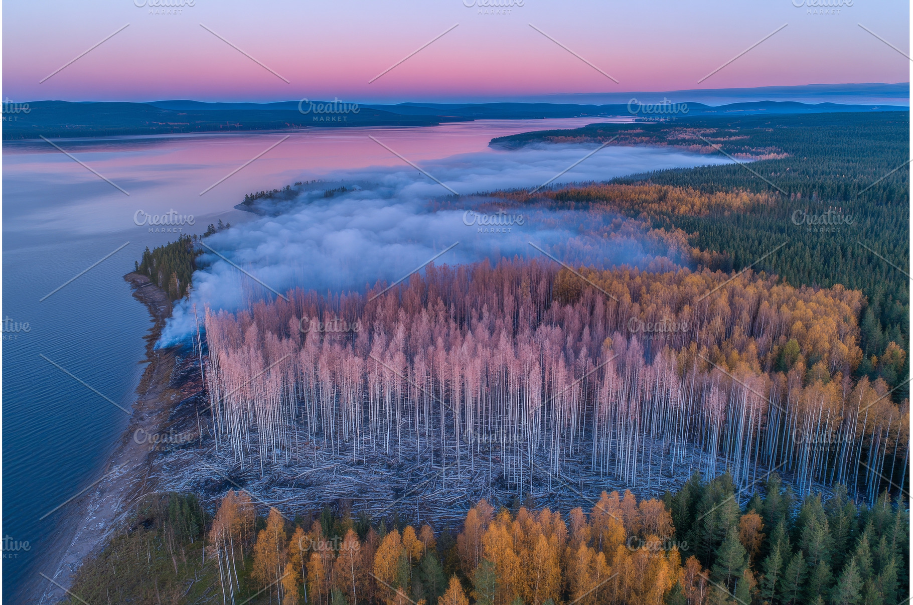 After wildfires, the landscape of, a Nature Photo by ZinetroN