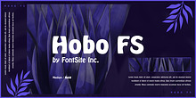 Hobo FS