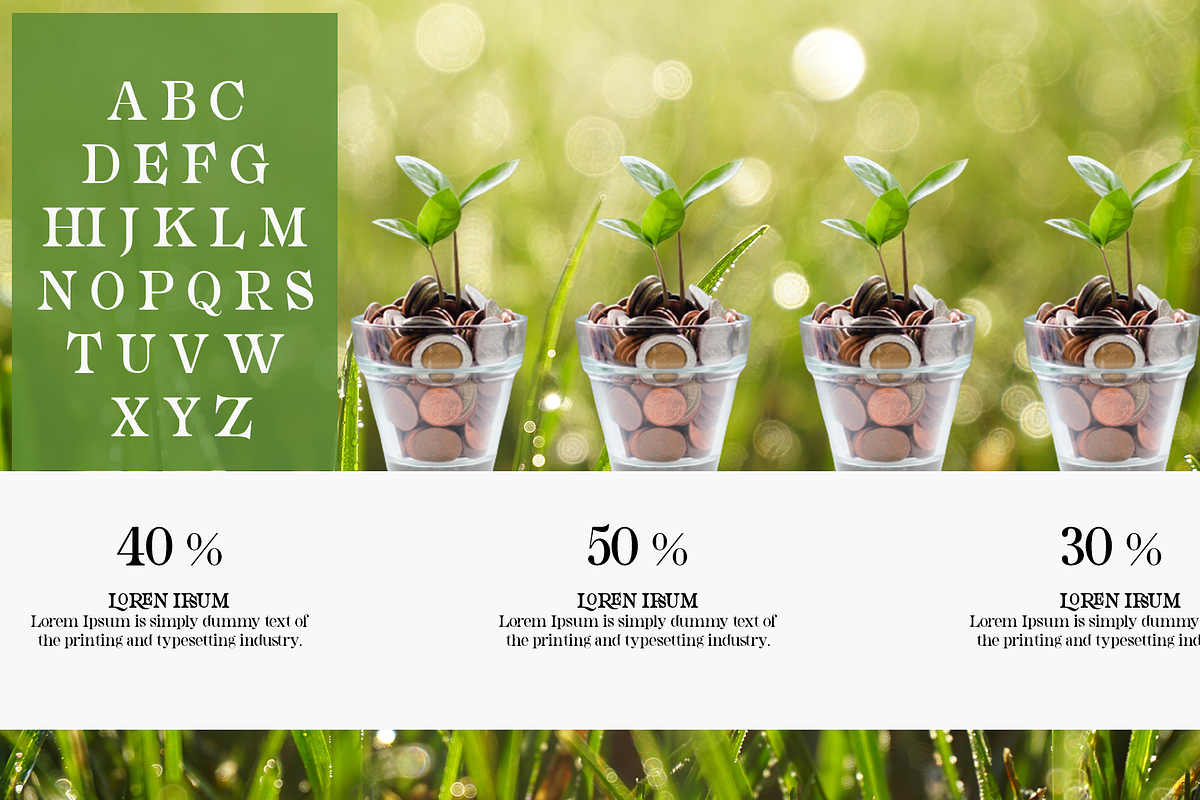 Grogie, a Serif Font by LuhopCreative (Photo 8 of 12)