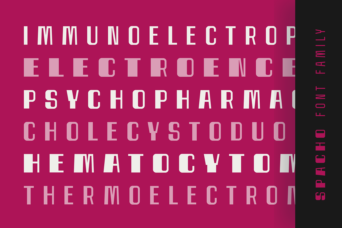 Spacho Font Family (44 Fonts), a Font by alpercakici (Photo 11 of 18)