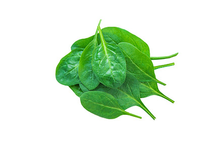 Spinach leaves isolate on white, a Food & Drink Photo by yanadjana