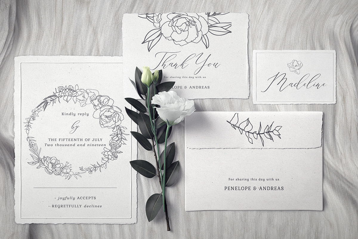 Elegant floral collection.Line art, a Decorative Illustration by Vera●Suleimanova (Photo 5 of 15)