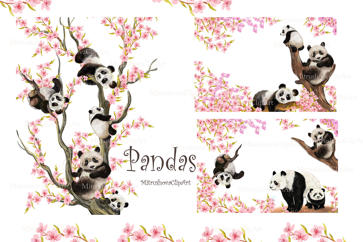 Panda clipart, PNG Amimals, an Animal Illustration by MitrushovaArt (Photo 3 of 8)