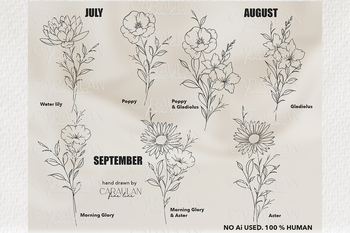 Birth Flowers Outline Stamps, a Brush Add-On by CaraulanStore (Photo 6 of 9)