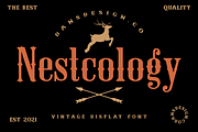 Nestcology, a Blackletter Font by dansdesign (Thumbnail 1 of 8)