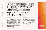 Rodest - Font Family, a Serif Font by Graptail (Thumbnail 12 of 13)