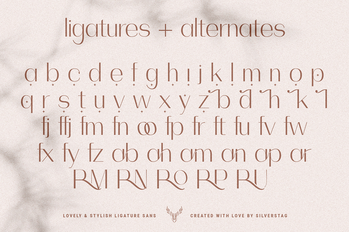 Celine - Chic Ligature Sans & Extras, a Sans Serif Font by SilverStag Type Foundry (Photo 22 of 23)