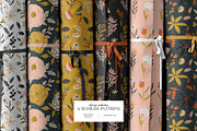 Seasonal Botany BUNDLE, an Object Graphic by Ruslana Lubenets (Thumbnail 70 of 100)