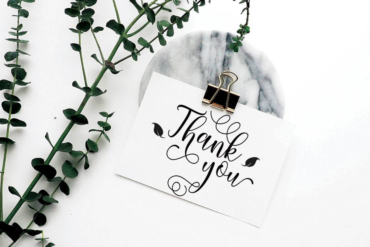 Shahira script, a Script Font by Madjack.font (Photo 8 of 8)