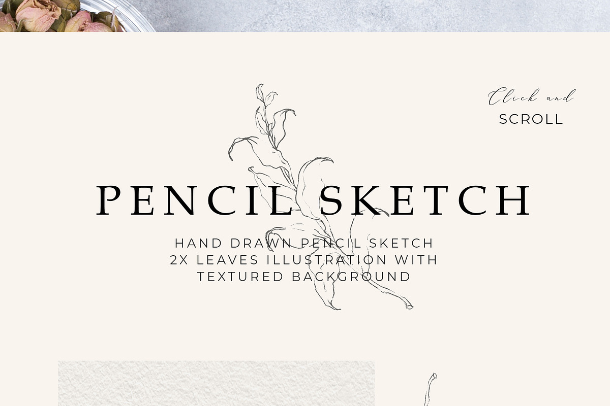 Pencil Sketch Leaves Illustration, a Work Illustration by WalaPalette (Photo 3 of 4)